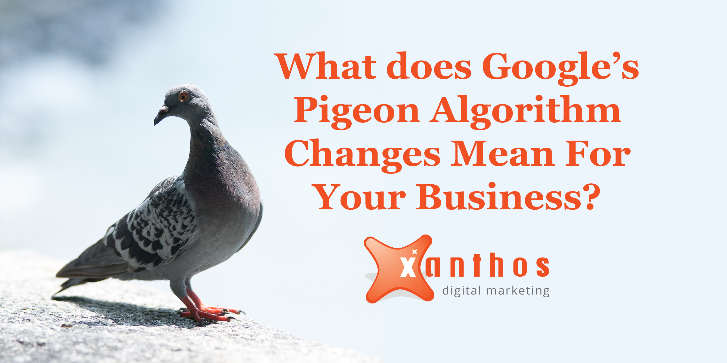 pigeon google update social blog