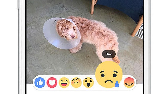 Facebook Reactions used on phone