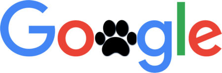 Google Panda Algorithm Logo