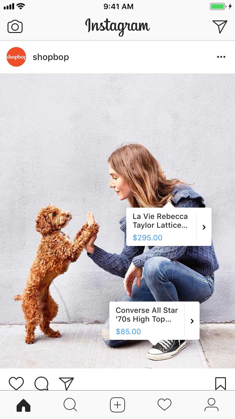 26813919 172786573336892 4445634422326165504 N