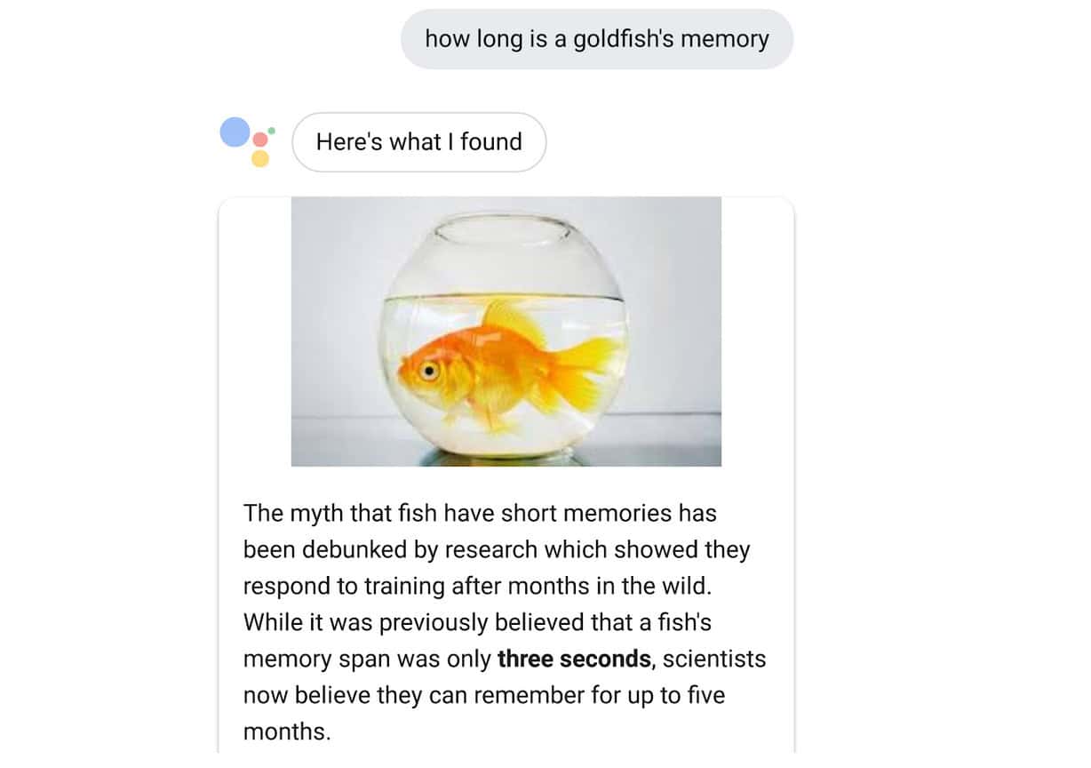 Google Conversation AI